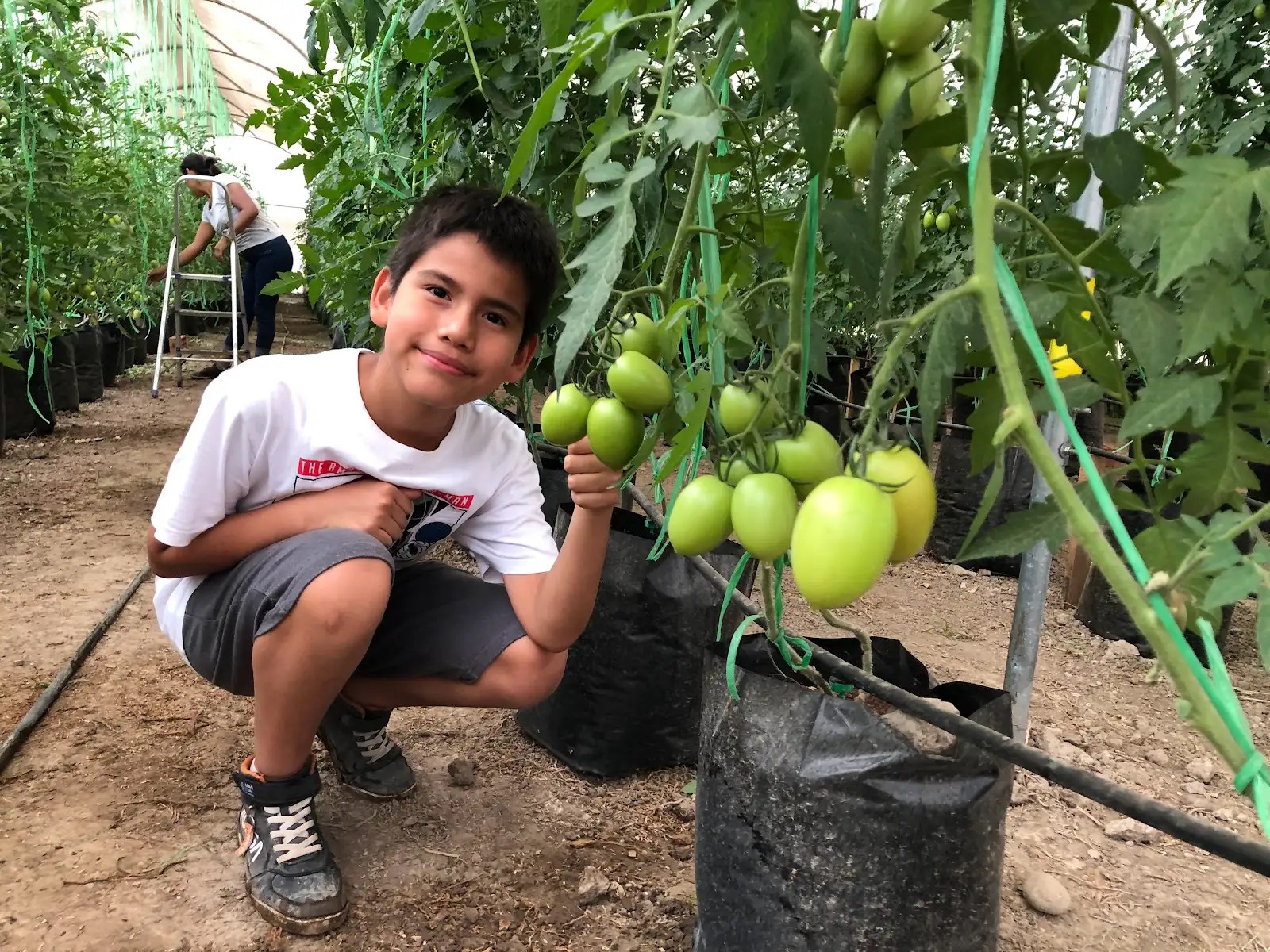 Un momento familiar junto a las plantas de tomate del invernadero