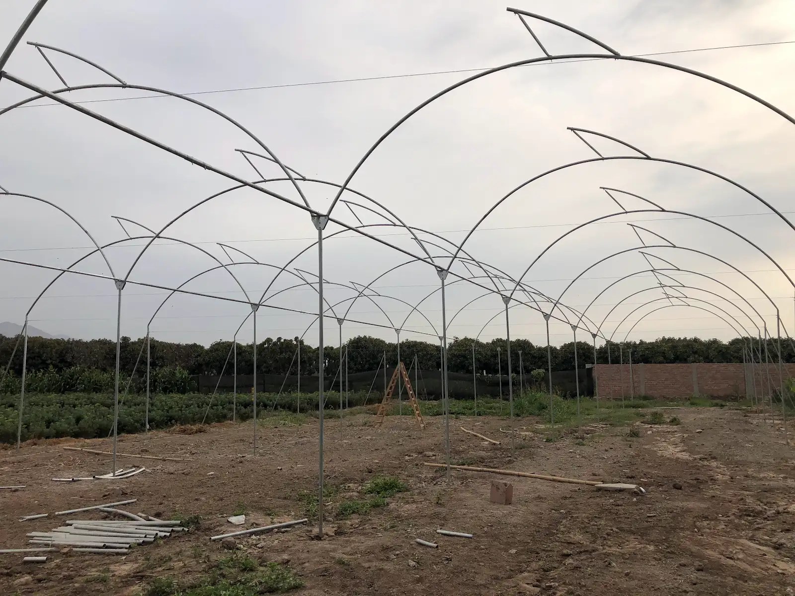 Estructura del invernadero durante su construcción