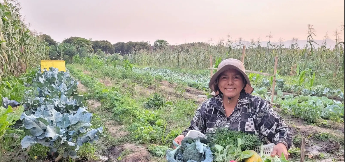 Una mujer con una canasta de verduras recién cosechadas en el huerto