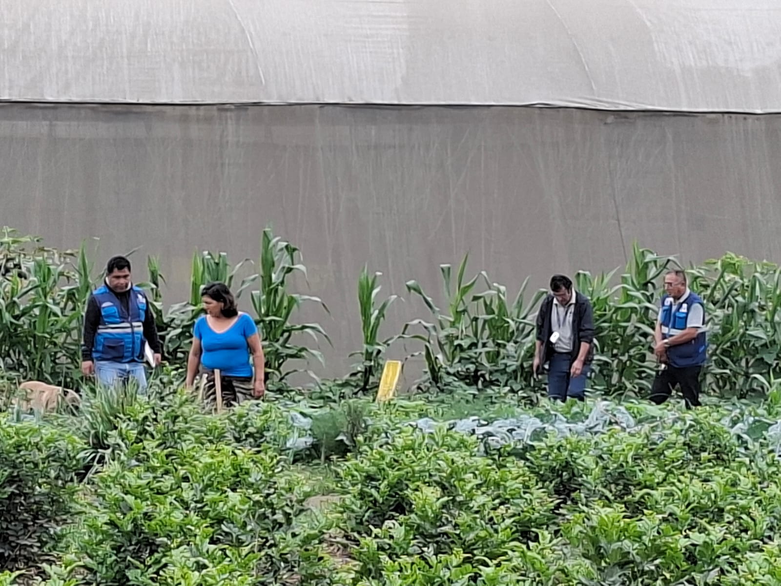 Visitantes observando los cultivos junto al invernadero