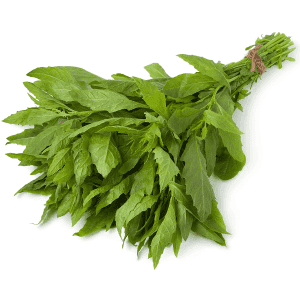 Paico (atado)