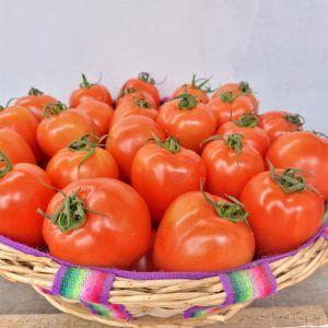 Tomate italiano (Kilo)